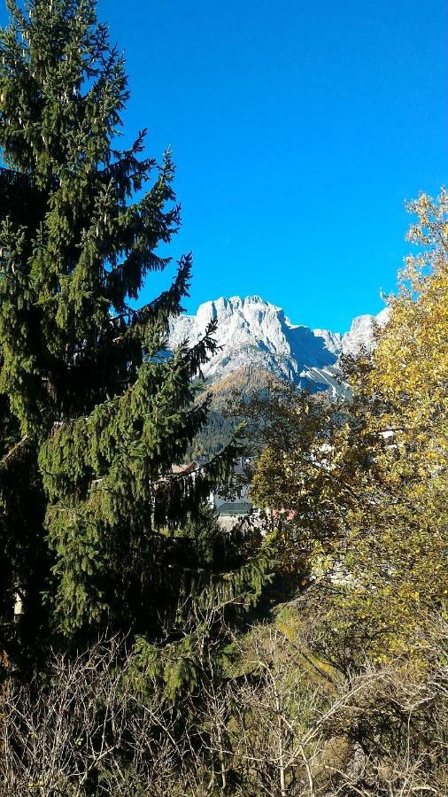 Balcone Sulle Dolomiti 2 Leilighet Dosoledo Eksteriør bilde