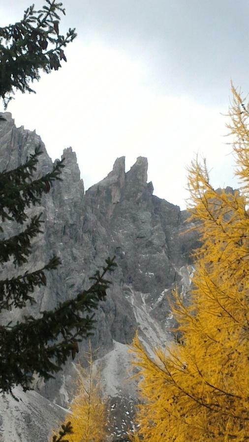 Balcone Sulle Dolomiti 2 Leilighet Dosoledo Eksteriør bilde