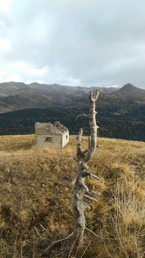 Balcone Sulle Dolomiti 2 Leilighet Dosoledo Eksteriør bilde
