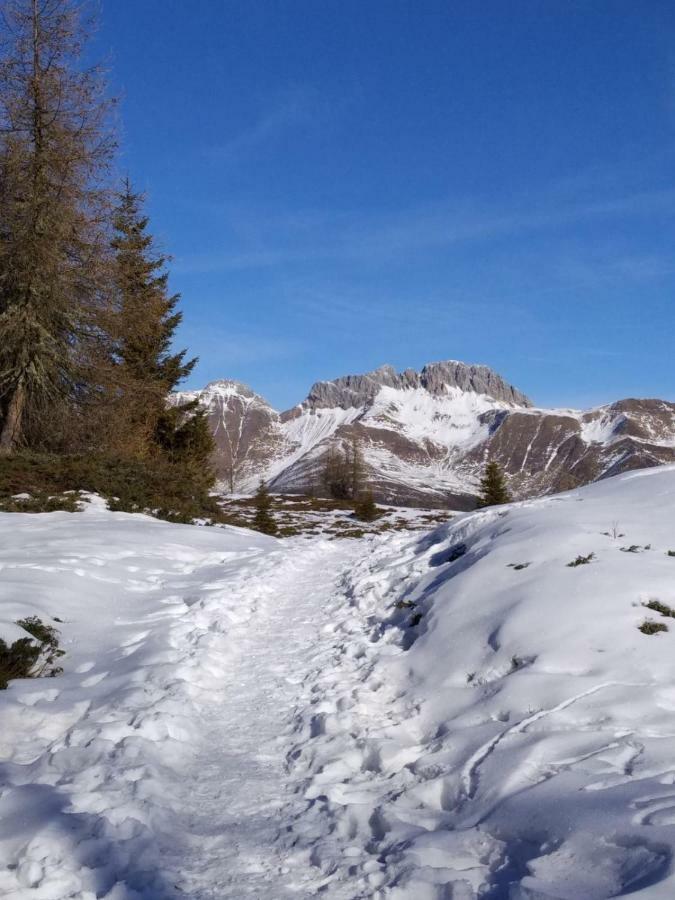 Balcone Sulle Dolomiti 2 Leilighet Dosoledo Eksteriør bilde